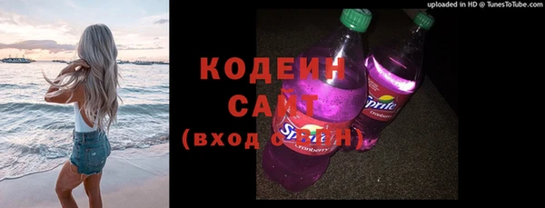 тгк Абаза