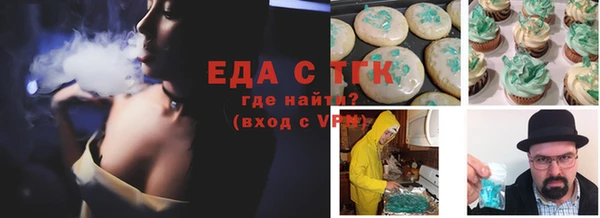 тгк Абаза