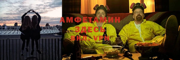 тгк Абаза