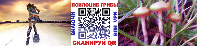 Галлюциногенные грибы GOLDEN TEACHER  MEGA ссылки  Хадыженск 
